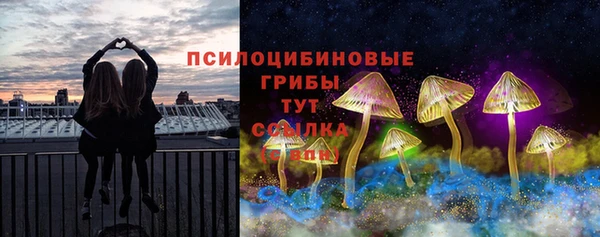 МДПВ Алзамай