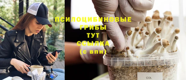 МДПВ Алзамай