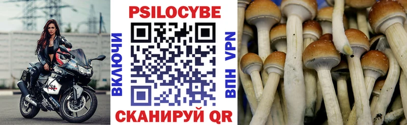 купить наркотики сайты Сортавала Галлюциногенные грибы прущие грибы